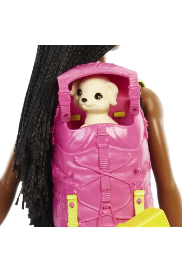 Barbie Kemping Barbie Brooklyn Lalka + akcesoria HDF74 Mattel