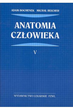 Anatomia cz�owieka T.5 - Bochenek Adam, Reicher Micha� - Adam Bochenek, Micha� Reicher