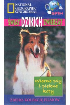 Wierne psy i pi�kne koty