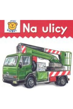 Na ulicy (twarda oprawa)