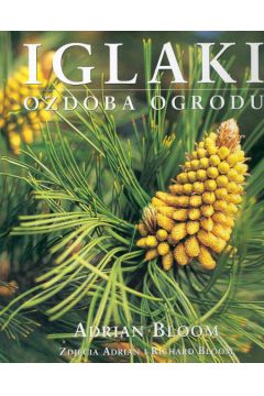 Iglaki - Bloom Adrian (twarda oprawa) - Adrian Bloom