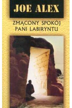 Zm�cony spok�j pani labiryntu - Alex Joe
