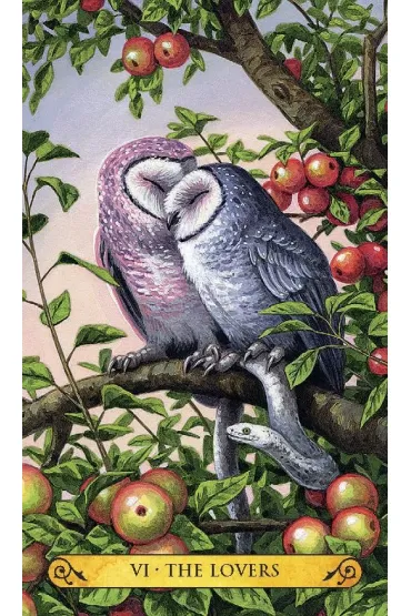 Tarot S�w, mini karty do wr�enia
