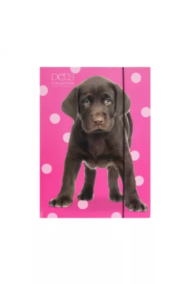 Pan Dragon Teczka A4 z gumk� Pets-13