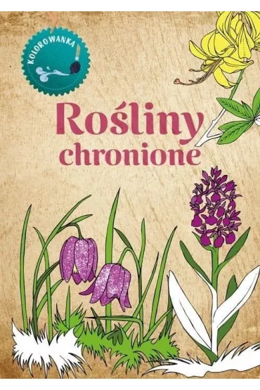 Kolorowanka Ro�liny chronione - Katarzyna Kopiec-Sekieta
