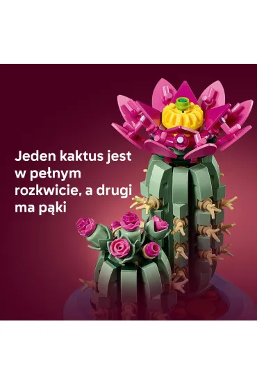 LEGO Botanicals Kwitn�cy kaktus 11509