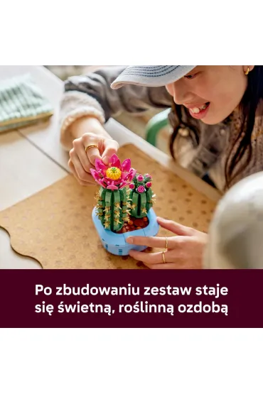LEGO Botanicals Kwitn�cy kaktus 11509