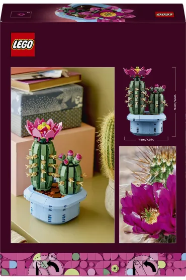 LEGO Botanicals Kwitn�cy kaktus 11509