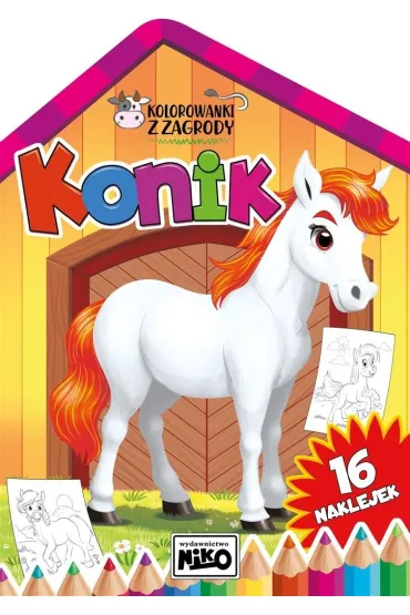 Kolorowanki z zagrody. Konik - Artur Rajch