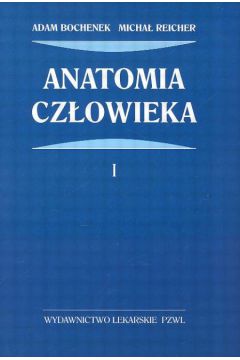 Anatomia cz�owieka t.1-5 - Bochenek - Bochenek