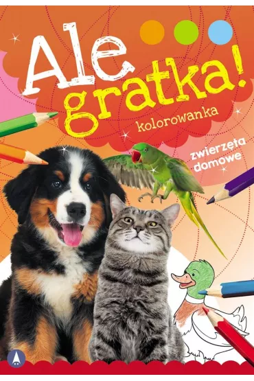 Ale gratka! Zwierz�ta domowe