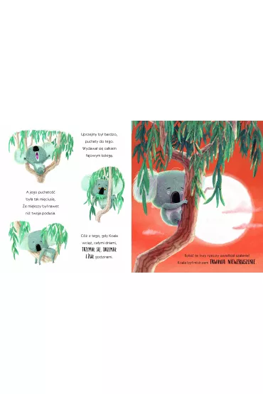 Koala, Kt�ry Si� Trzyma� - Rachel Bright