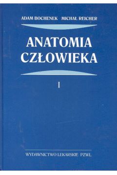 Anatomia cz�owieka t. 1 - Bochenek Adam, Reicher Micha� - Adam Bochenek, Micha� Reicher