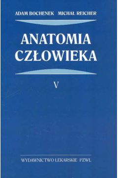Anatomia cz�owieka Tom 5 - Adam Bochenek, Micha� Reicher