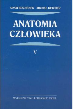 Anatomia cz�owieka t.5 - Bochenek Adam, Reicher Micha� - Adam Bochenek, Micha� Reicher