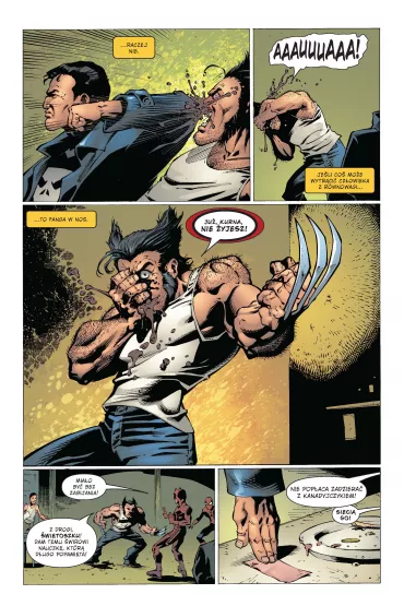 Marvel Classic Punisher. Tom 3 - Garth Ennis