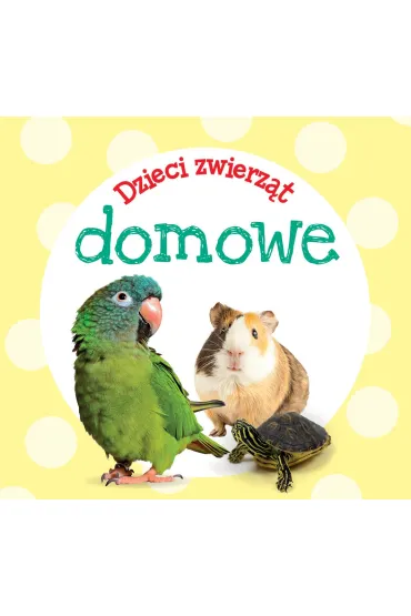 Dzieci zwierz�t - domowe