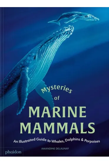 Mysteries of Marine Mammals. An Illustrated Guide to Whales, Dolphins, and Porpoises - Amandine Delaunay