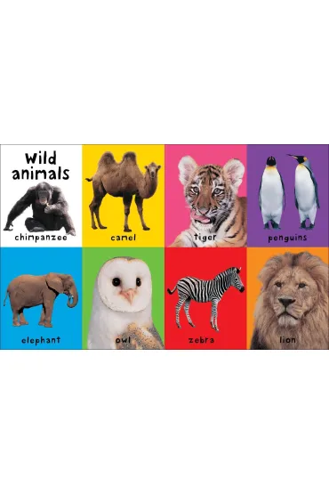 First 100 Animals - Roger Priddy