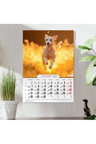 Opress Kalendarz 2026 A4 wieloplanszowy Psy