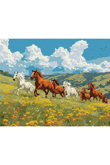 Ideyka Malowanie po numerach - Si�a i wdzi�k 40x50cm