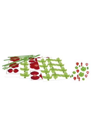 Floral Art. Sztuka kwiatowa - Bukiet czerwonych r�