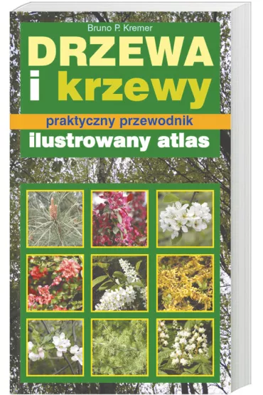 Drzewa i krzewy - Bruno P. Kremer