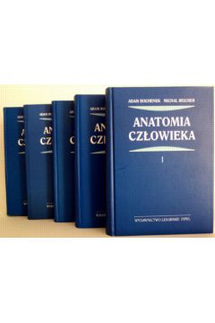 Anatomia cz�owieka Tom 1-5 - Bochenek Adam, Reicher Micha� - Adam Bochenek, Micha� Reicher