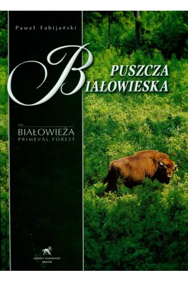 Puszcza Bia�owieska - Pawe� Fabija�ski