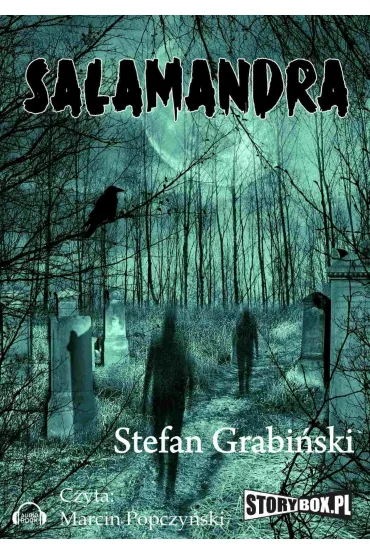 Audiobook Salamandra mp3 - Stefan Grabiski