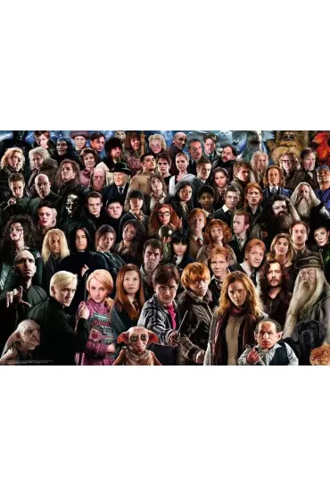 Puzzle 1000 el. Challenge. Harry Potter Ravensburger