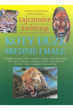 Koty du�e �rednie i ma�e - Kokurewicz T., Kawecki P. - P. Kawecki