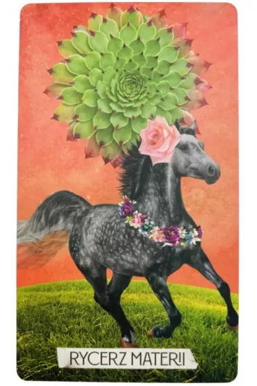 Tarot Muzy - Chris-Anne