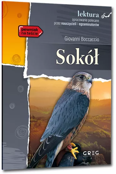 Sok. Lektura z opracowaniem - Giovanni Boccaccio