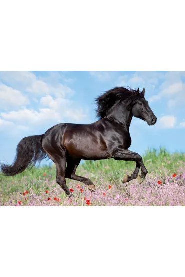 Puzzle 200 el. Pi�kno konia Ravensburger
