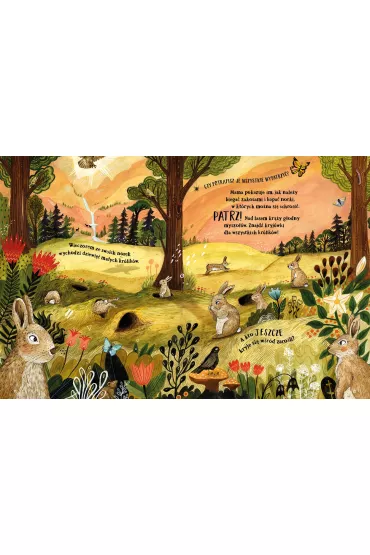 Tajemniczy las - Sandra  Dieckmann