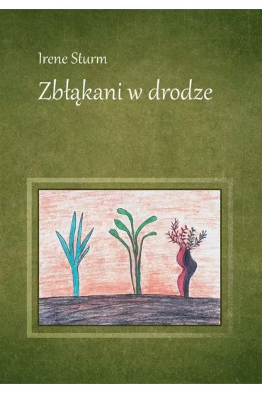 Zb��kani w drodze - Irene Sturm