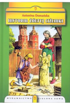 Historia ��tej ci�emki - Doma�ska Antonina (twarda oprawa)