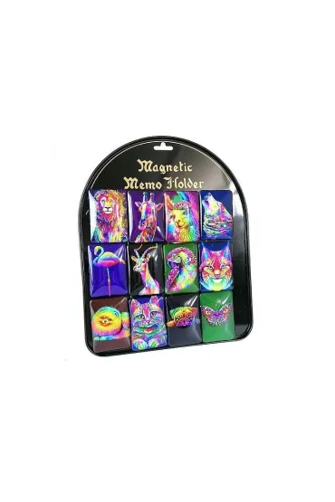 Adar Magnes wypuk�y neon (12 szt)