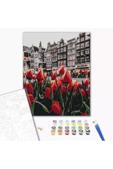 Brushme Malowanie po numerach - Tulipany Amsterdamu 40x50cm