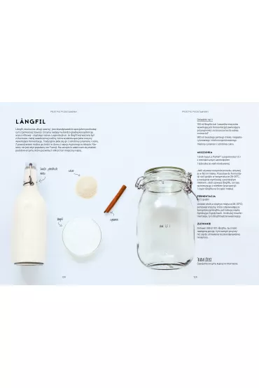 Kombucza, kefir i sp�ka - Lokki