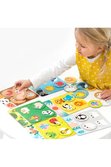 CzuCzulotto Zwierz�tka Bright Junior Media