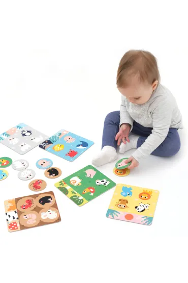 CzuCzulotto Zwierz�tka Bright Junior Media