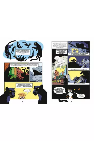 Koty - natura i wychowanie. Naukomiks - Andy  Hirsch