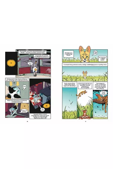 Koty - natura i wychowanie. Naukomiks - Andy  Hirsch