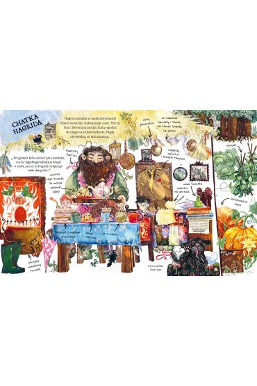 Ma�y potterownik. Hagrid. Przewodnik po serii Harry Potter. Harry Potter - Joanne Kathleen Rowling