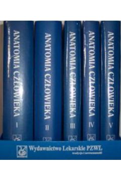 Anatomia cz�owieka t.I-V - Bochenek Adam, Reicher Micha� - Adam Bochenek, Micha� Reicher