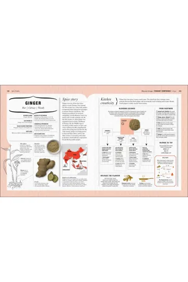 The Science of Spice - Stuart  Farrimond