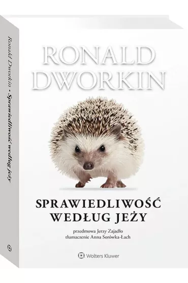 Sprawiedliwo�� wed�ug je�y - Roland Dworkin