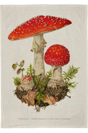 Skona Ting R�cznik kuchenny - Muchomor